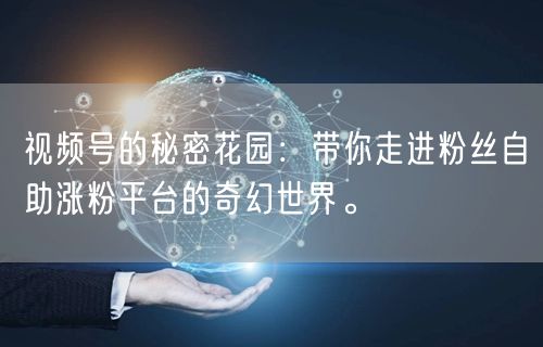 视频号的秘密花园：带你走进粉丝自助涨粉平台的奇幻世界。