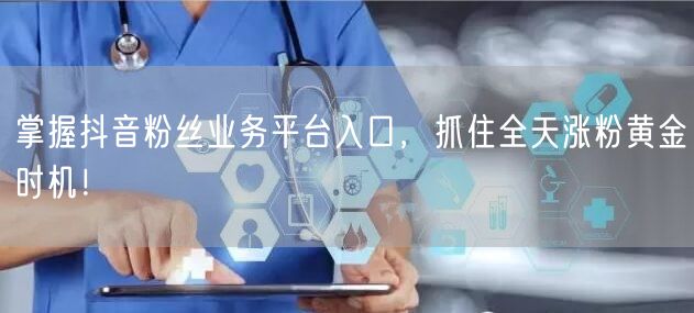 掌握抖音粉丝业务平台入口，抓住全天涨粉黄