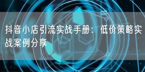 抖音小店引流实战手册：低价策略实战案例分享