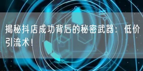 揭秘抖店成功背后的秘密武器：低价引流术！