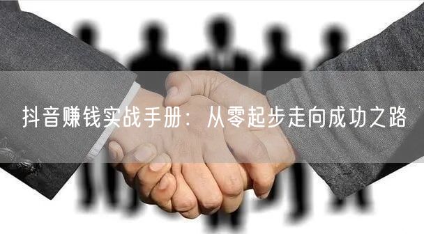 抖音赚钱实战手册：从零起步走向成功之路