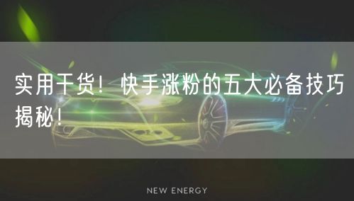 实用干货！快手涨粉的五大必备技巧揭秘！