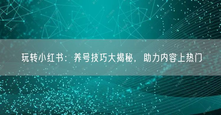 玩转小红书：养号技巧大揭秘，助力内容上热门