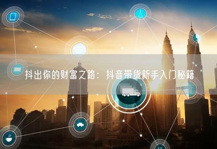 抖出你的财富之路：抖音带货新手入门秘籍