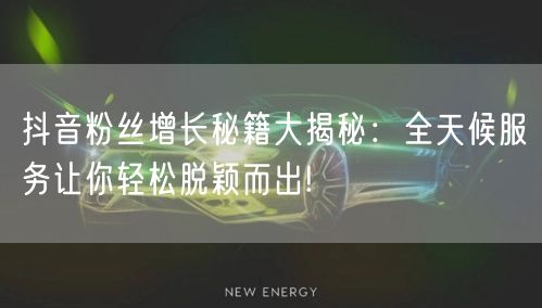 抖音粉丝增长秘籍大揭秘：全天候服务让你轻松脱颖而出!